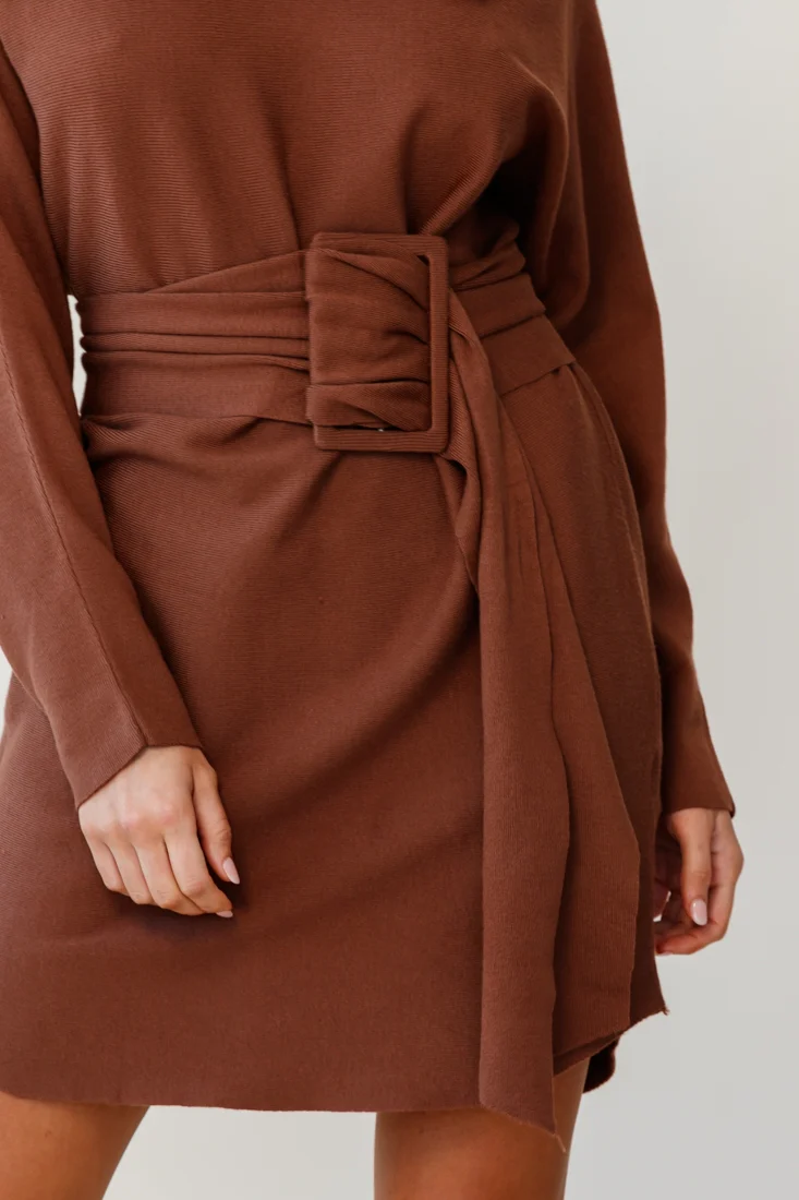 Lorelei Long Sleeve Wide Belt Knit Dress Camel - Image 4